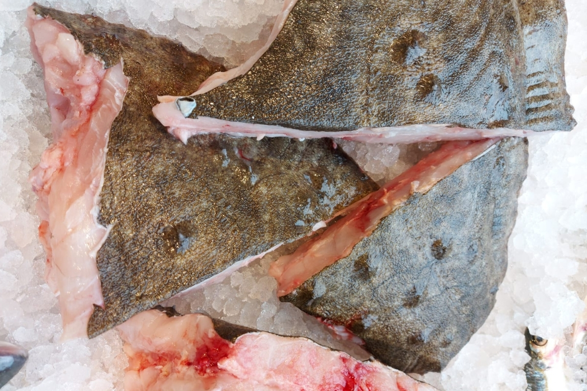 Alfredo Seafood NWSL Calcan de Marea Neagra- Portii - imagine 1